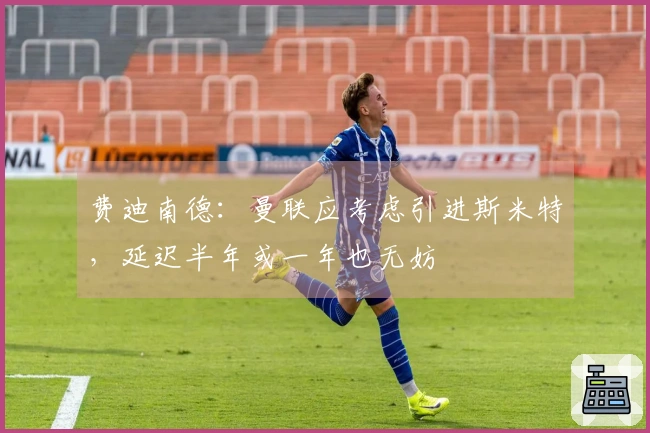 费迪南德：曼联应考虑引进斯米特，延迟半年或一年也无妨