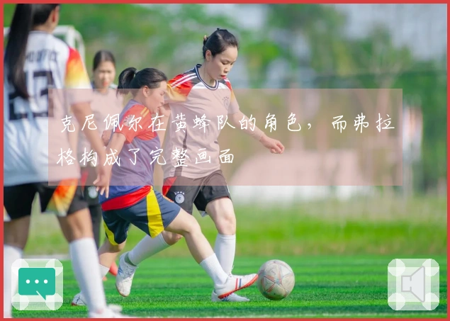 克尼佩尔在黄蜂队的角色，而弗拉格构成了完整画面