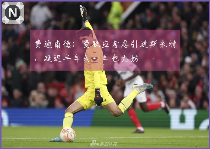费迪南德：曼联应考虑引进斯米特，延迟半年或一年也无妨